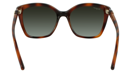 FERRAGAMO Sunglasses SF1026S 214 54