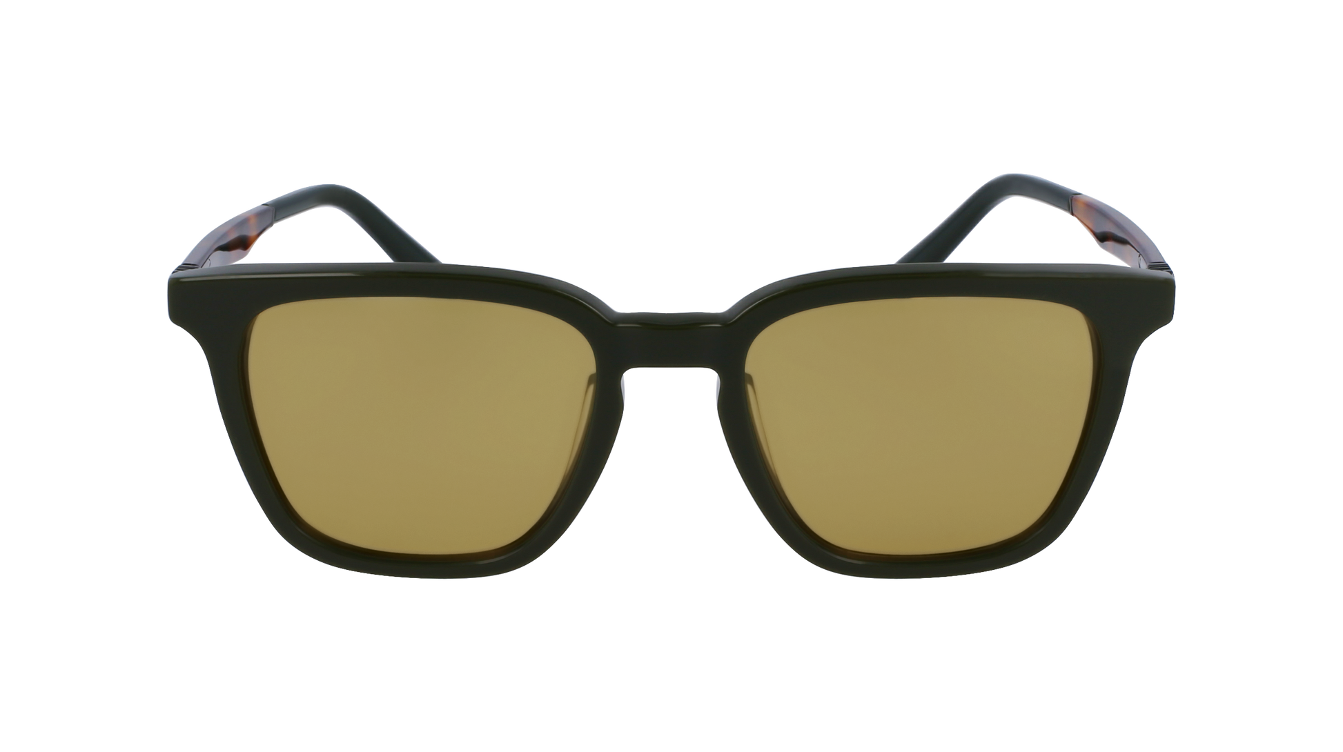 FERRAGAMO Sunglasses SF1100S 302 52