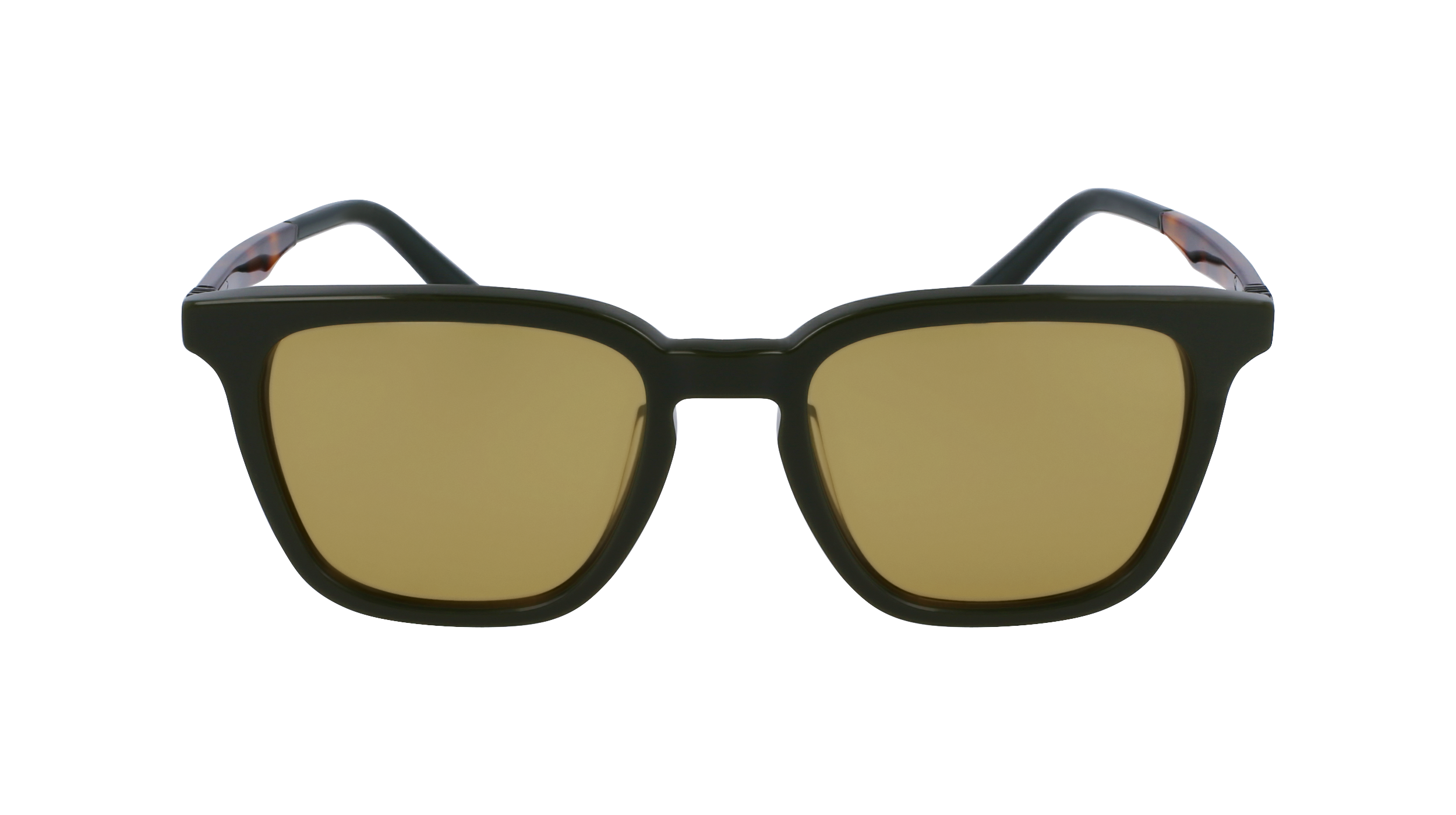 FERRAGAMO Sunglasses SF1100S 302 52