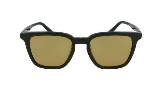 FERRAGAMO Sunglasses SF1100S 302 52