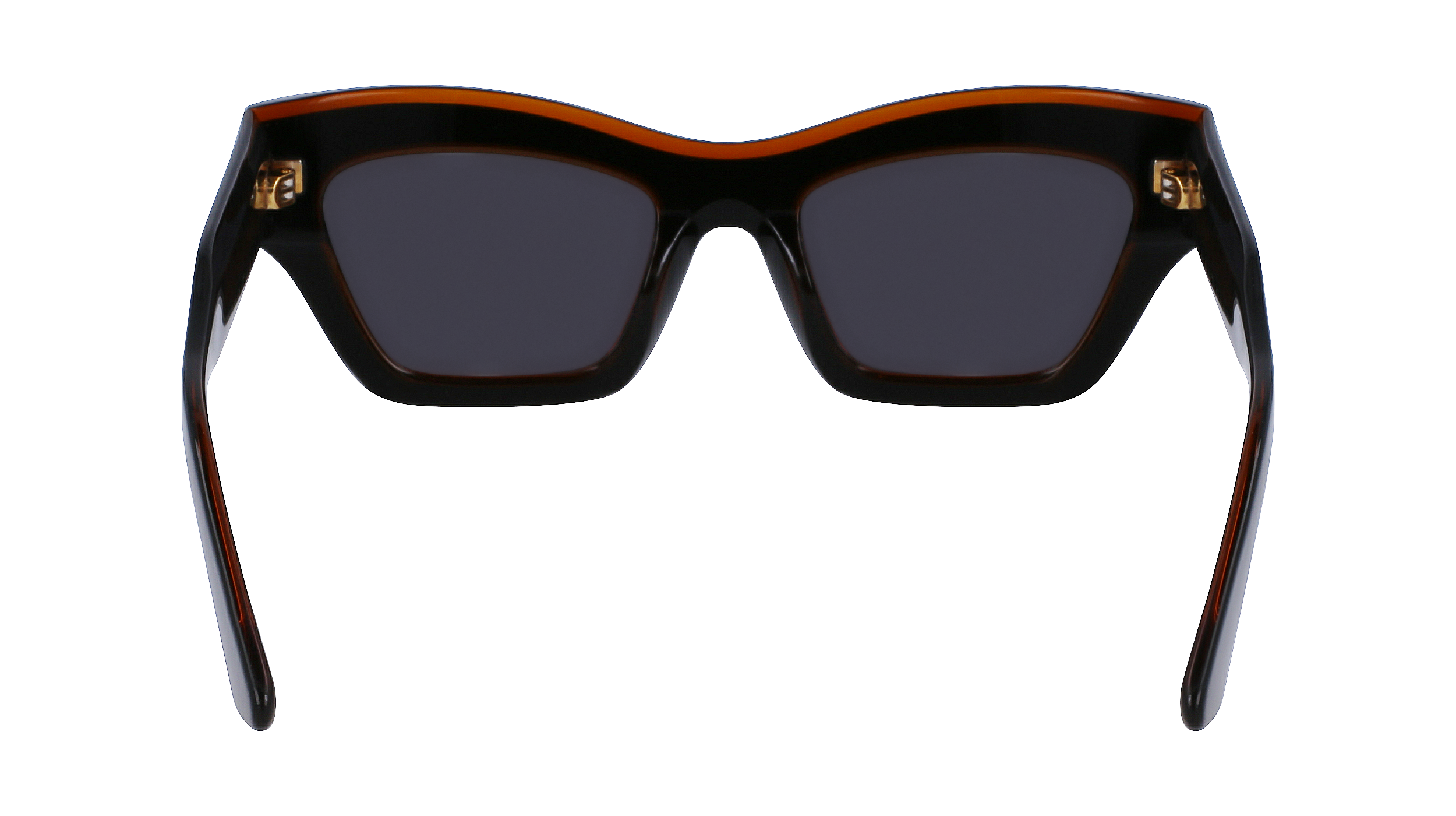 CALVIN KLEIN Sunglasses CK23503S 2 54