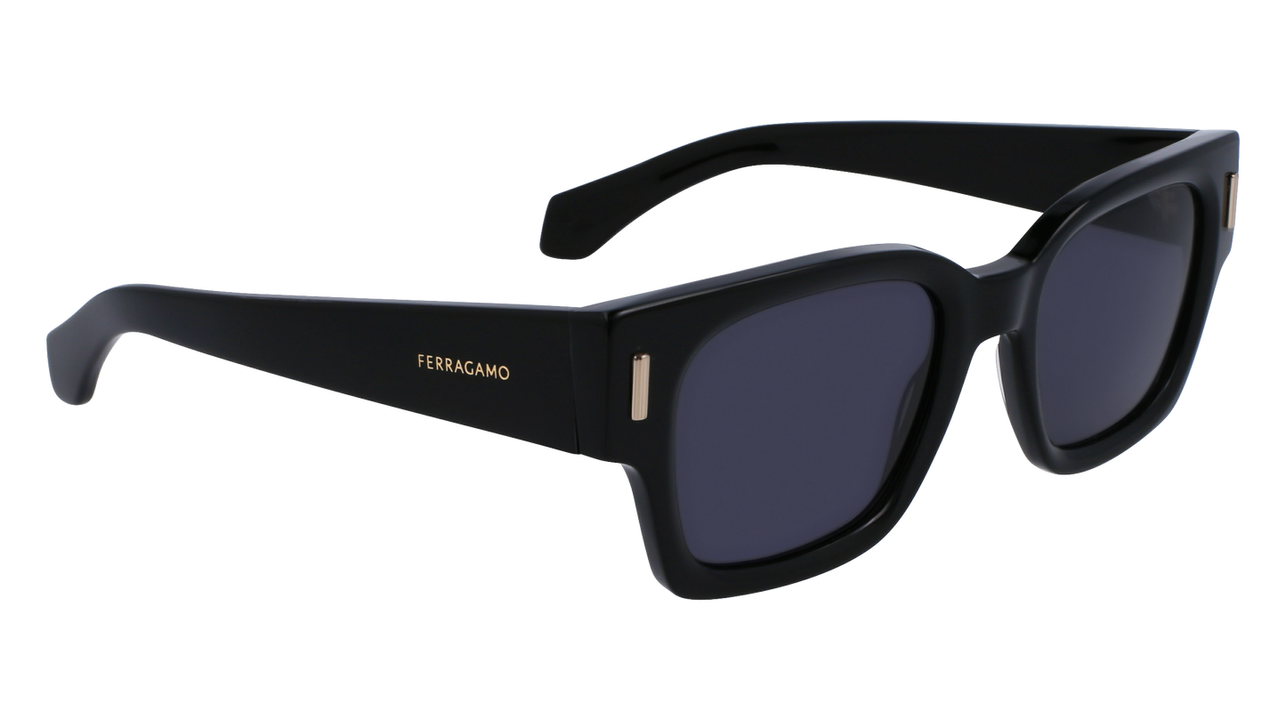 FERRAGAMO Sunglasses SF2010S 1 52