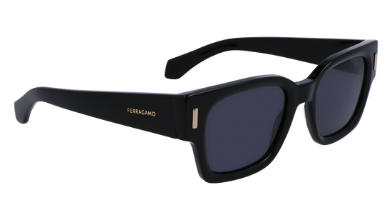 FERRAGAMO Sunglasses SF2010S 1 52