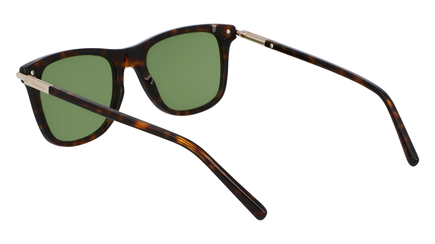 FERRAGAMO Sunglasses SF2028S 242 54