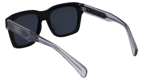 FERRAGAMO Sunglasses SF1087SN 13 56