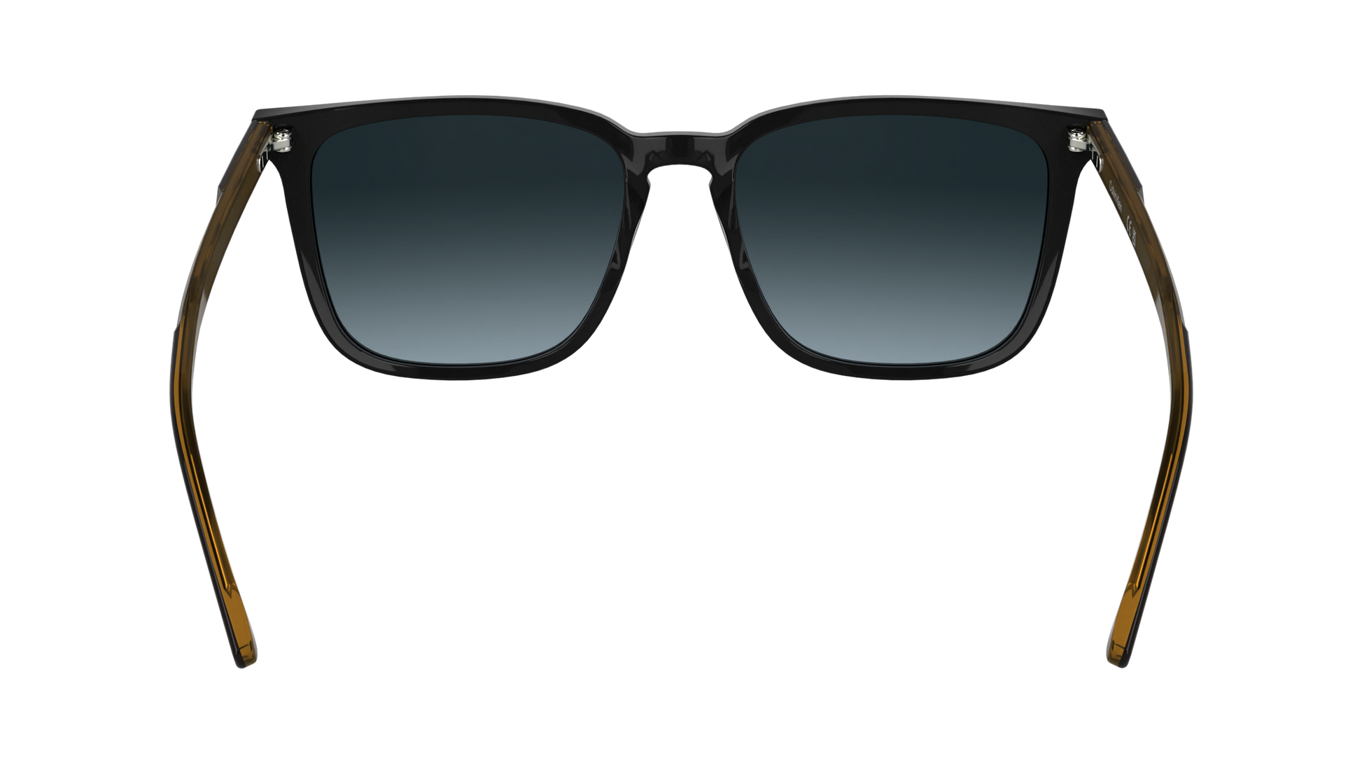 Calvin Klein CK25507S 1