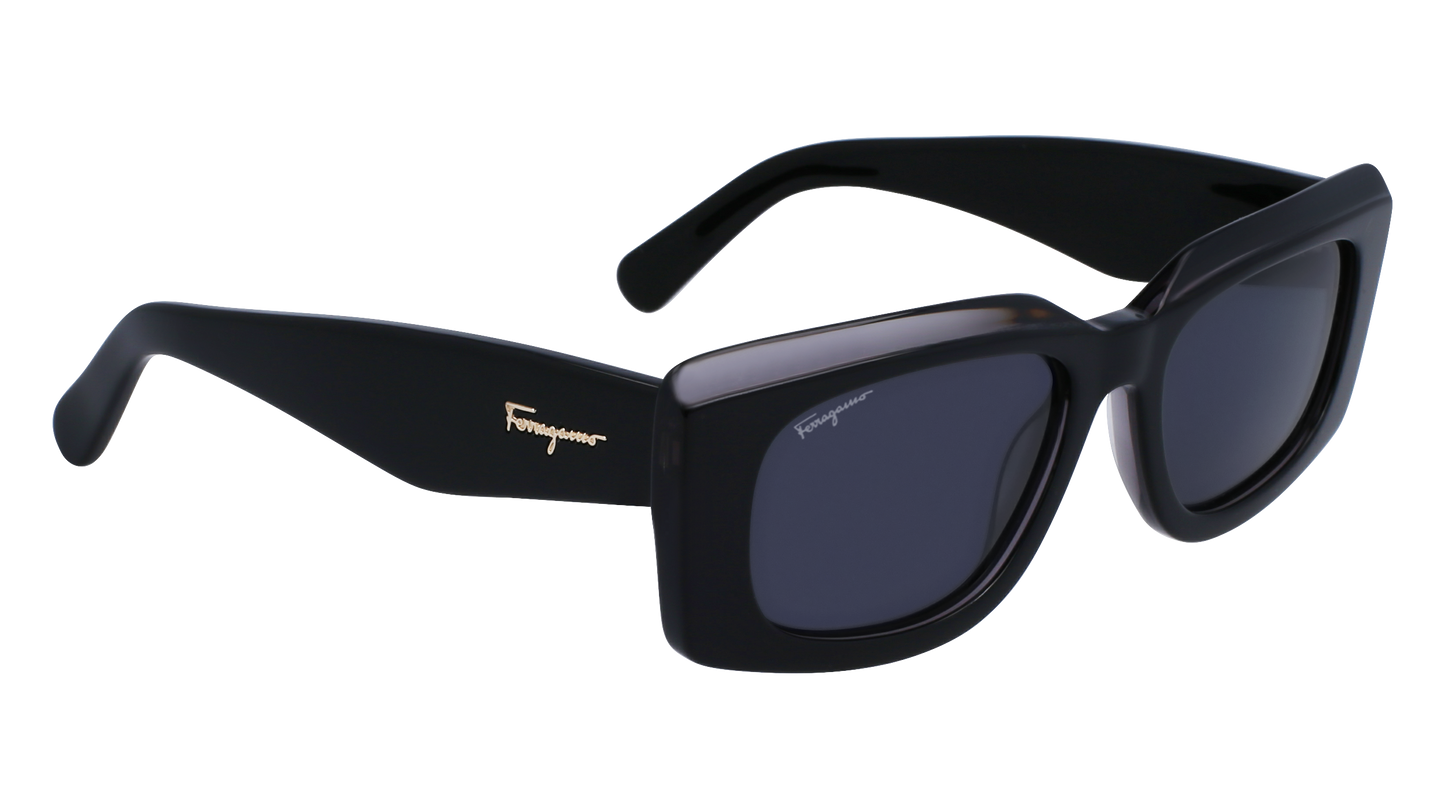 FERRAGAMO Sunglasses SF1079S 22 54