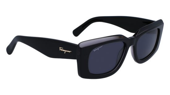 FERRAGAMO Sunglasses SF1079S 22 54