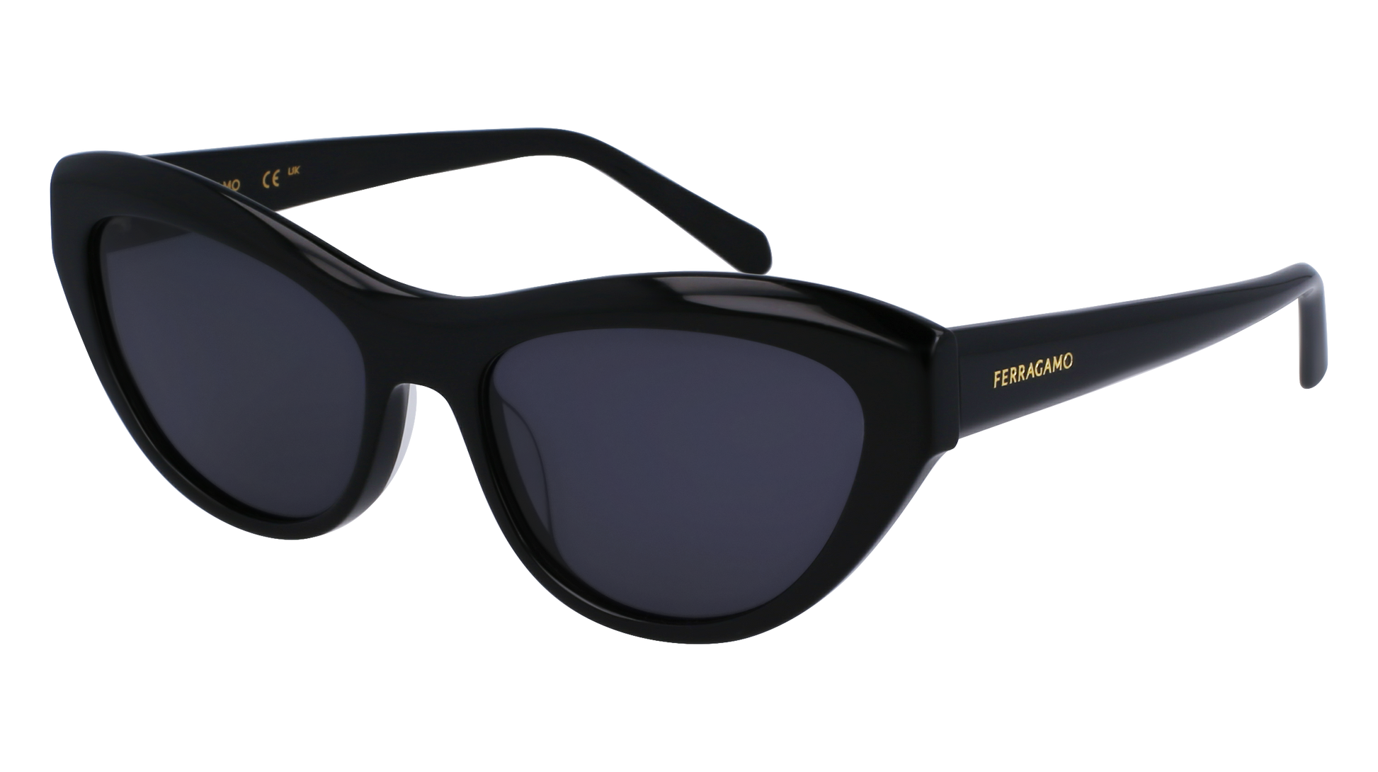 FERRAGAMO Sunglasses SF1103S 1 55