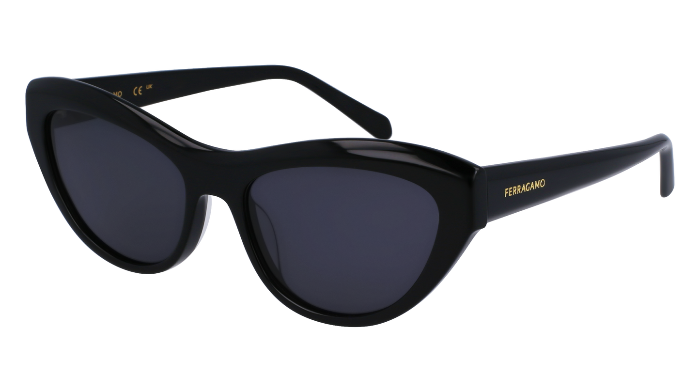 FERRAGAMO Sunglasses SF1103S 1 55