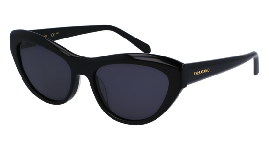 FERRAGAMO Sunglasses SF1103S 1 55