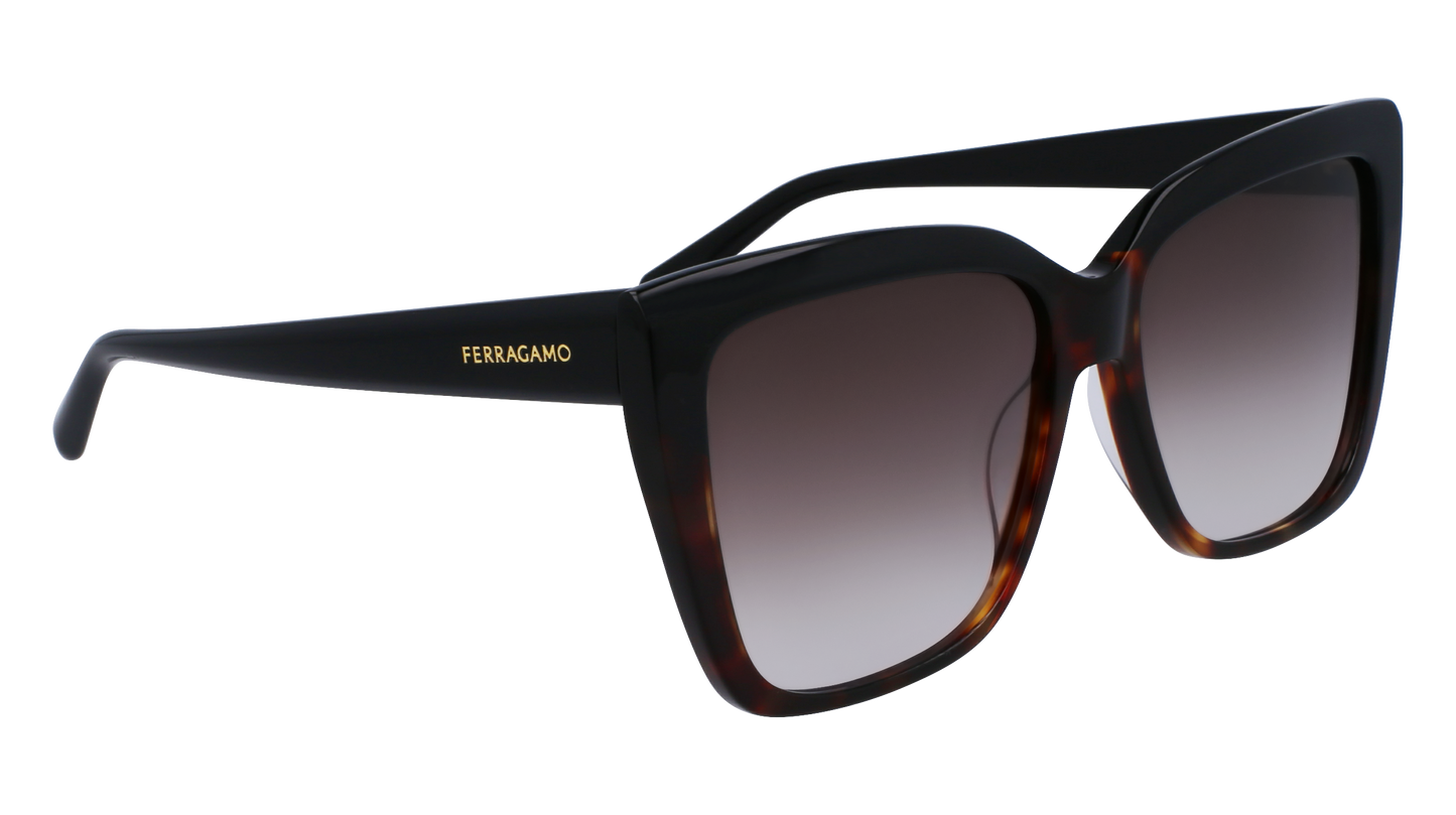 FERRAGAMO Sunglasses SF1102S 6 58