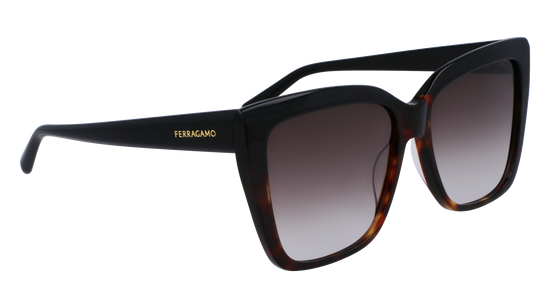 FERRAGAMO Sunglasses SF1102S 6 58