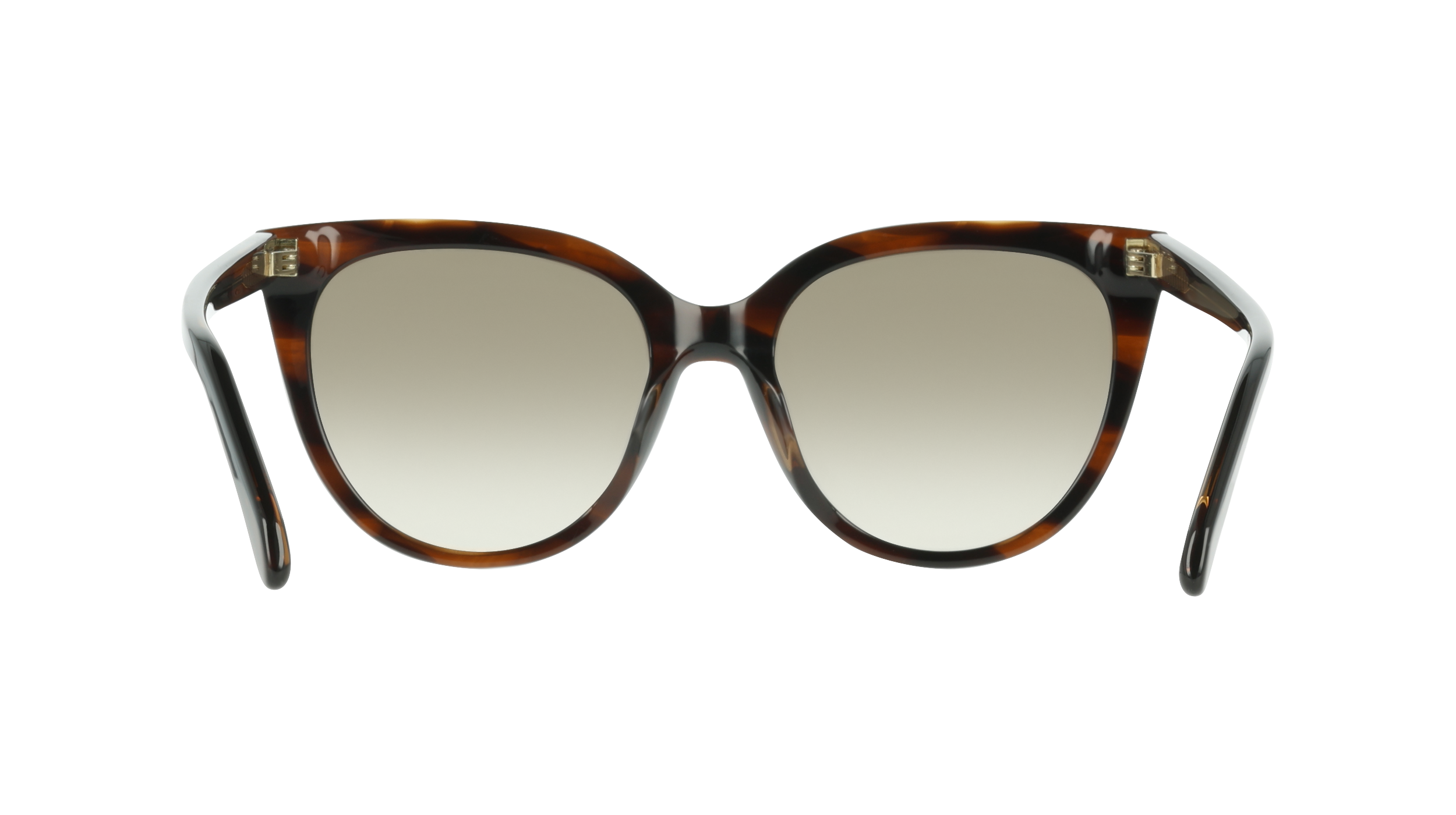 Ferragamo SF2101S 216
