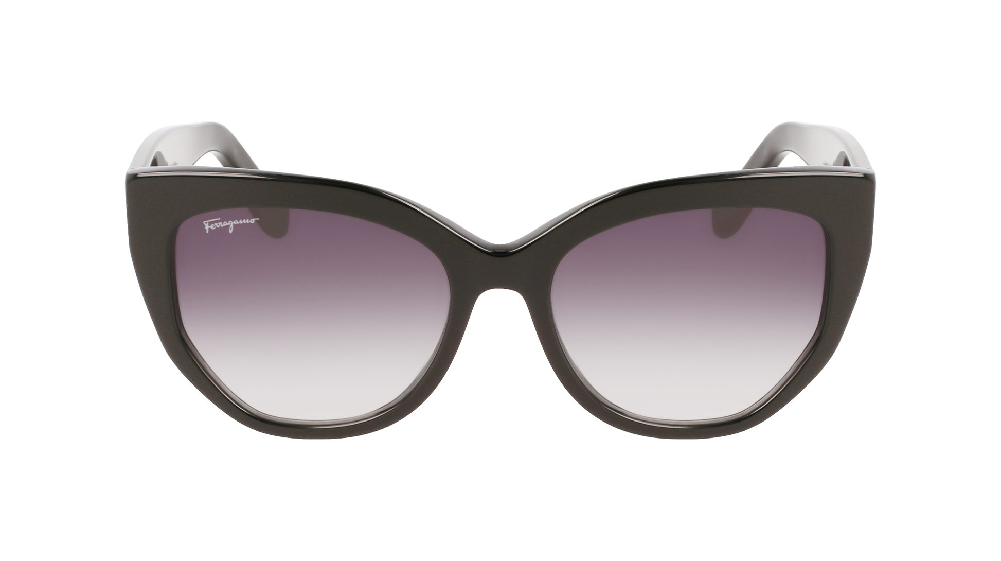 FERRAGAMO Sunglasses SF1061S 1 56