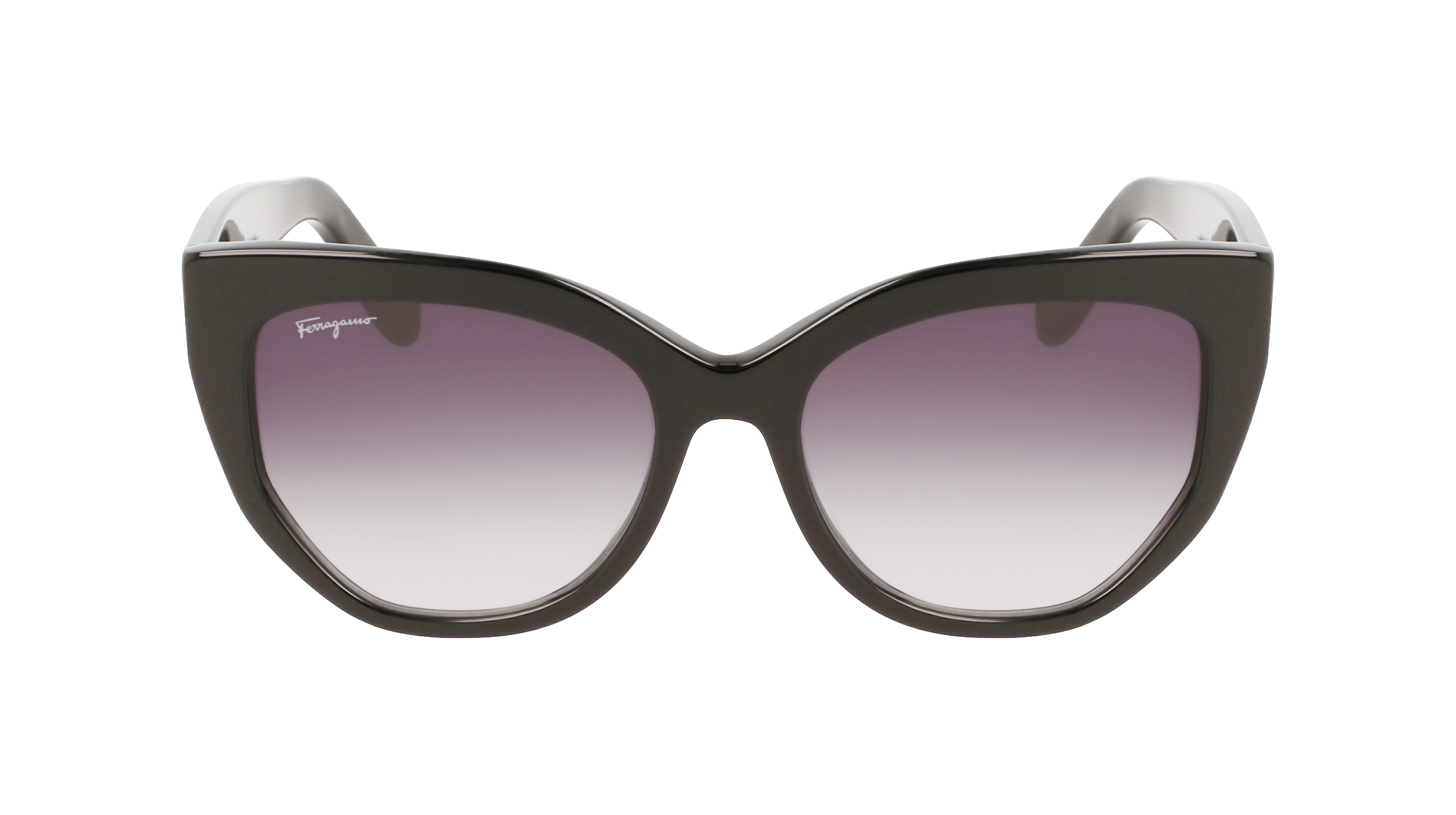 FERRAGAMO Sunglasses SF1061S 1 56