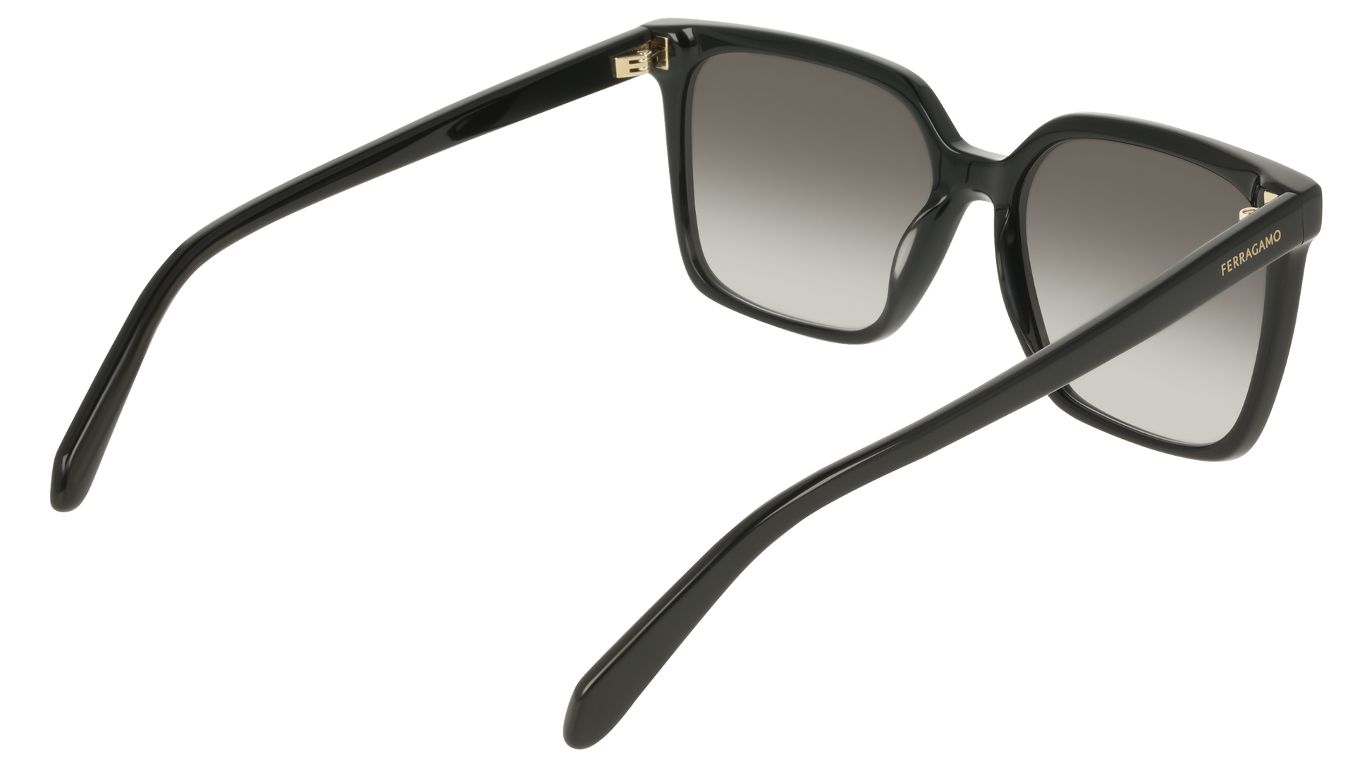 Ferragamo SF2102S 1