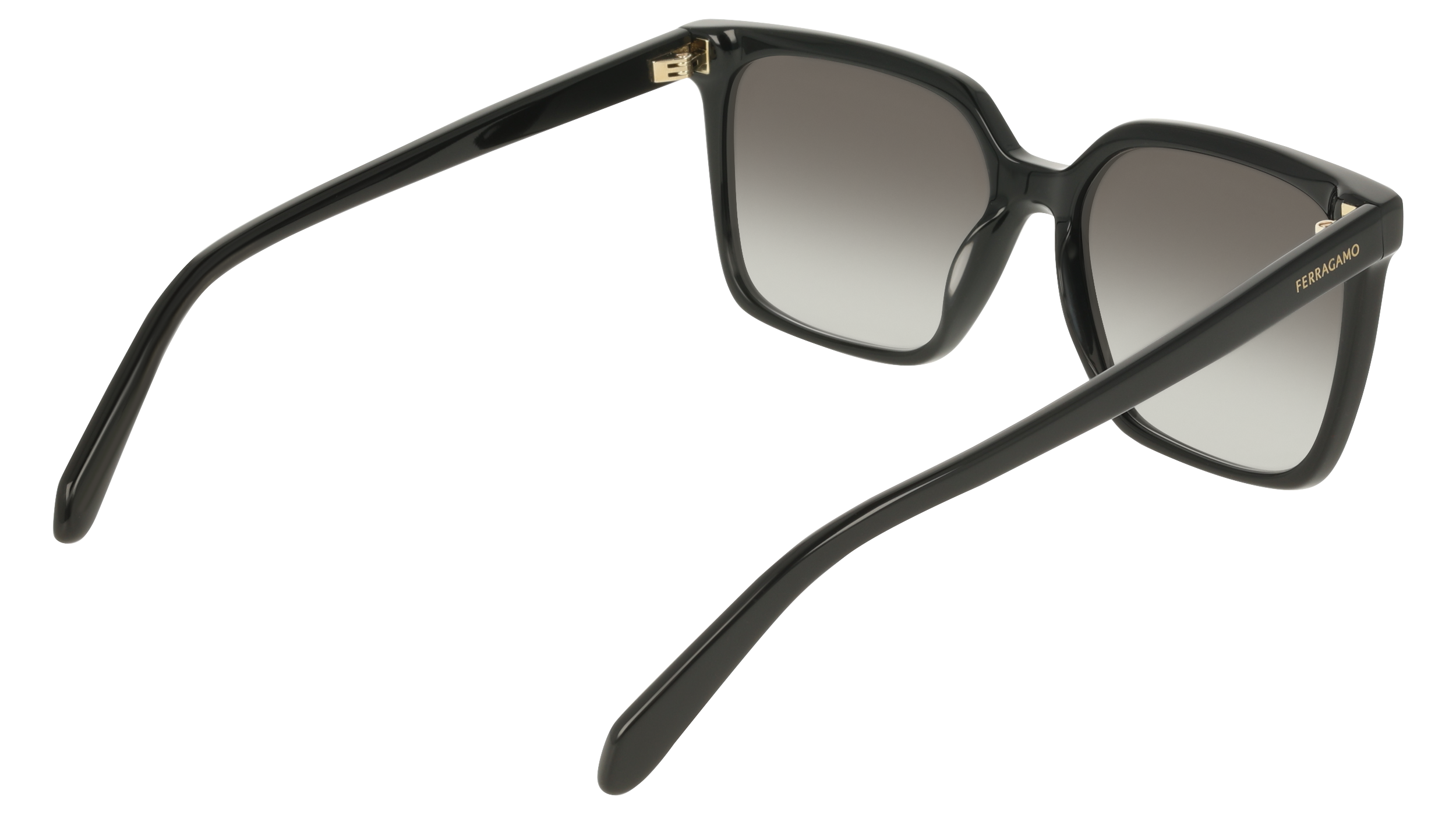 Ferragamo SF2102S 1