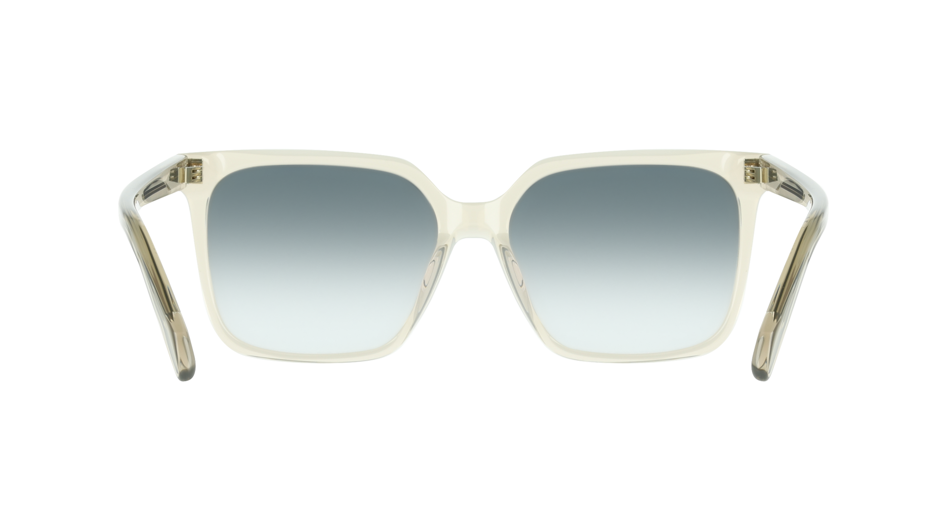 Ferragamo SF2102S 313