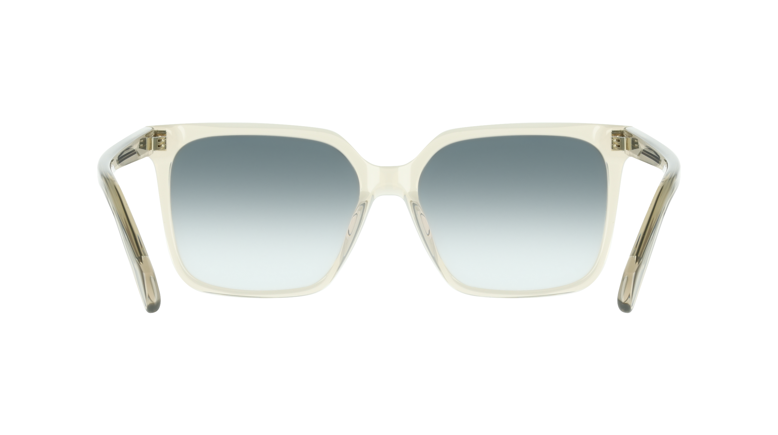 Ferragamo SF2102S 313