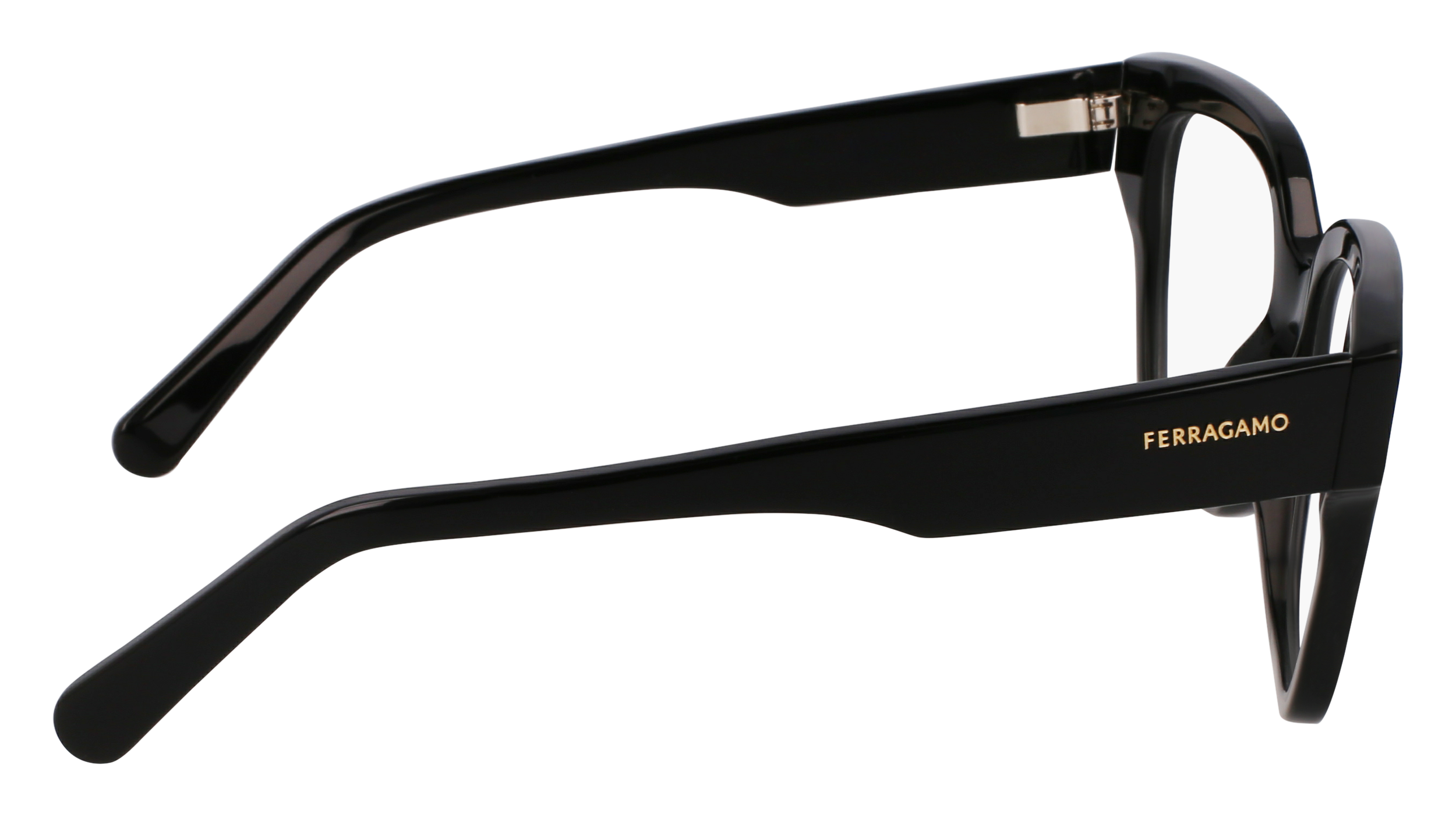 FERRAGAMO Eyeglasses SF2952N 1 53