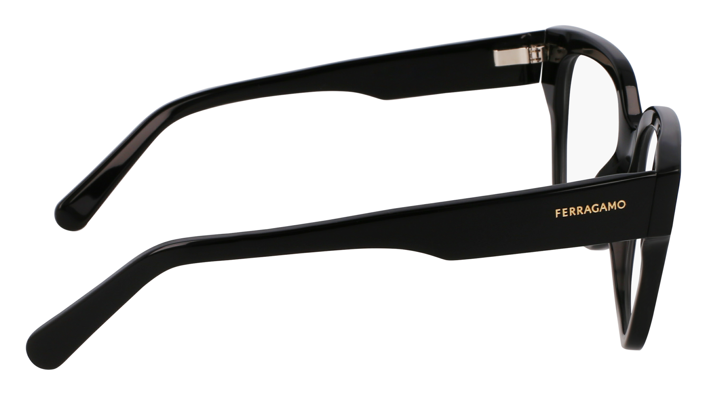 FERRAGAMO Eyeglasses SF2952N 1 53