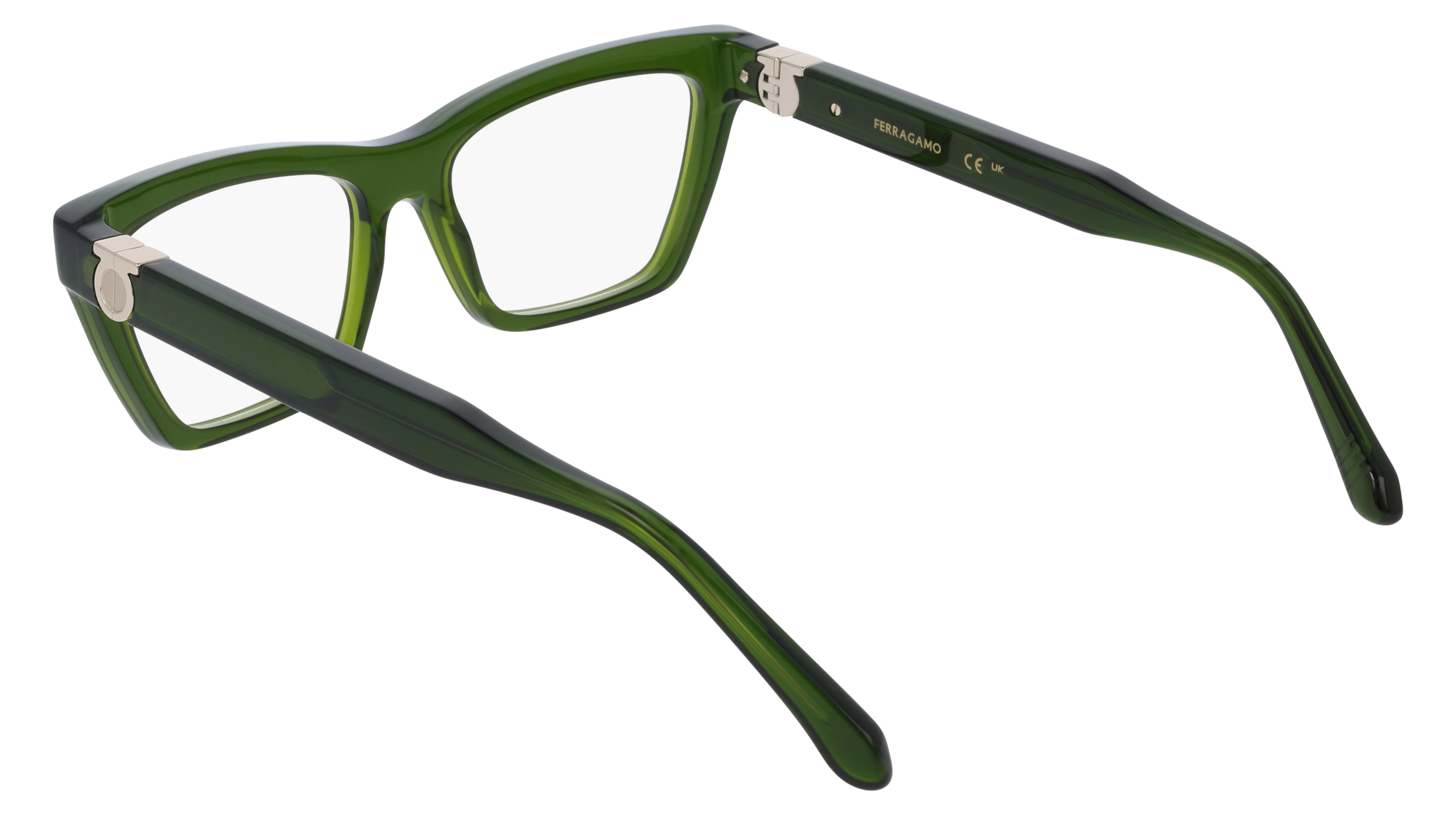 Ferragamo SF3021 317