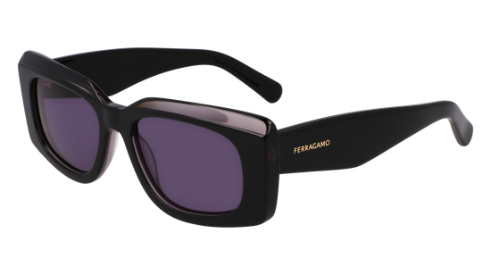 FERRAGAMO Sunglasses SF1079SN 22 54