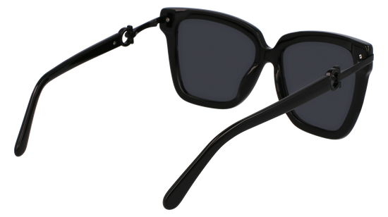 FERRAGAMO Sunglasses SF1085SN 1 57