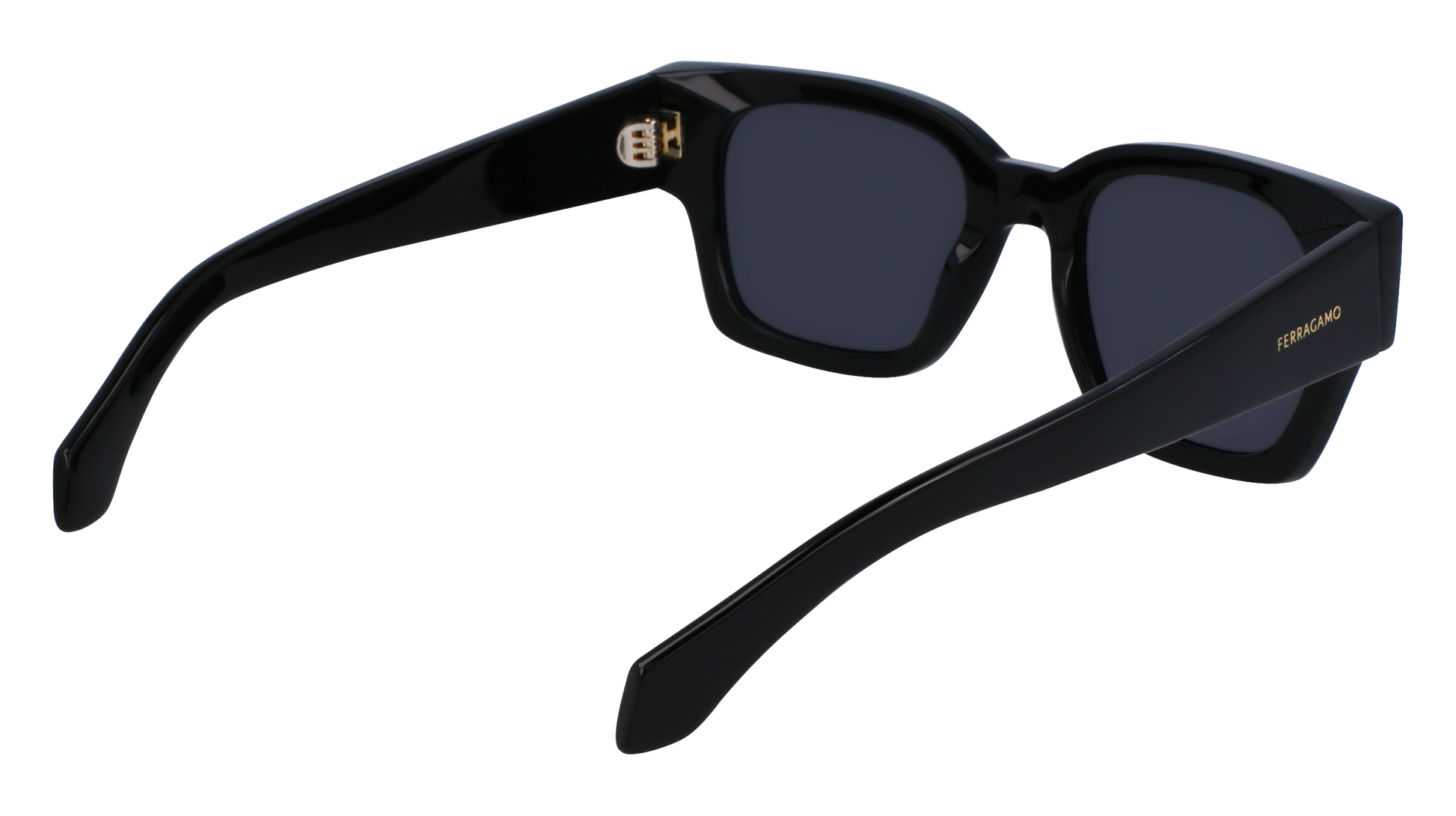 FERRAGAMO Sunglasses SF2010S 1 52
