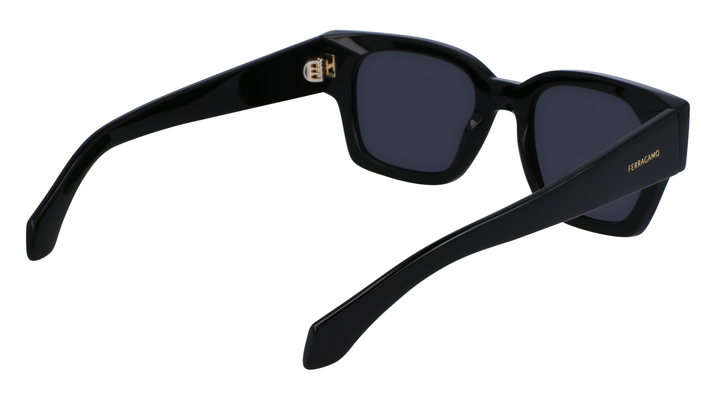 FERRAGAMO Sunglasses SF2010S 1 52