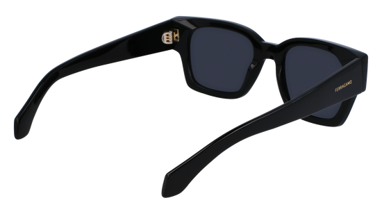 FERRAGAMO Sunglasses SF2010S 1 52