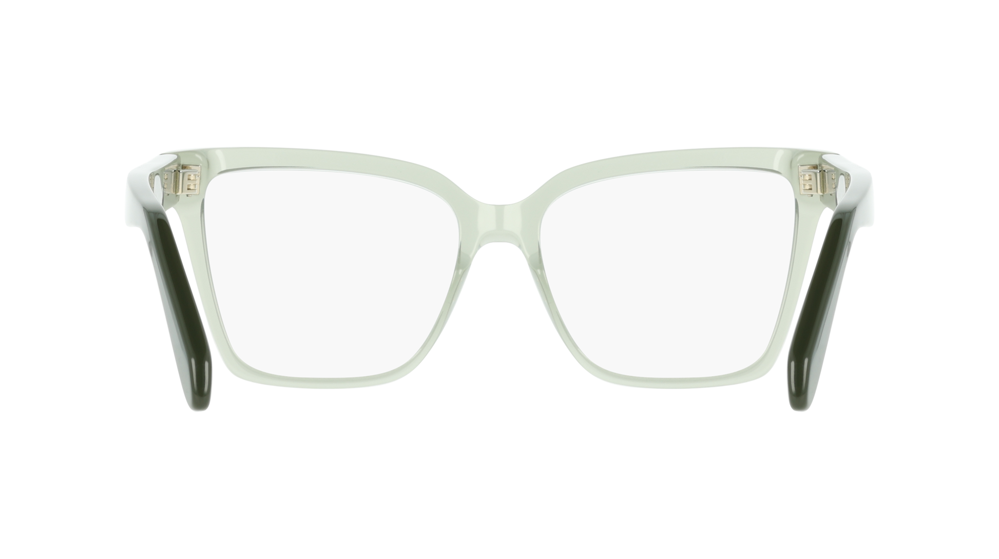 Ferragamo SF3060 313