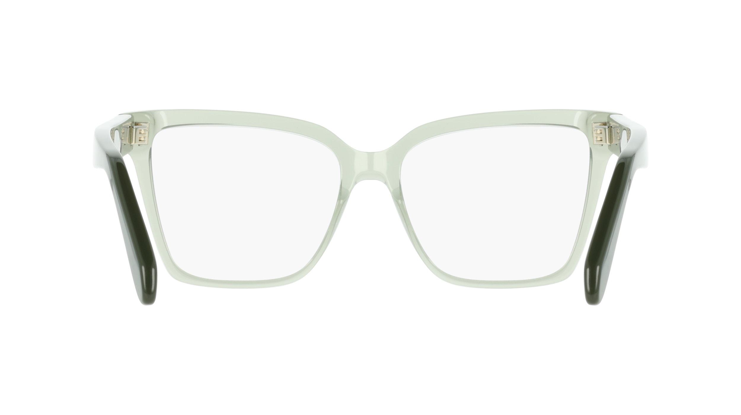 Ferragamo SF3060 313