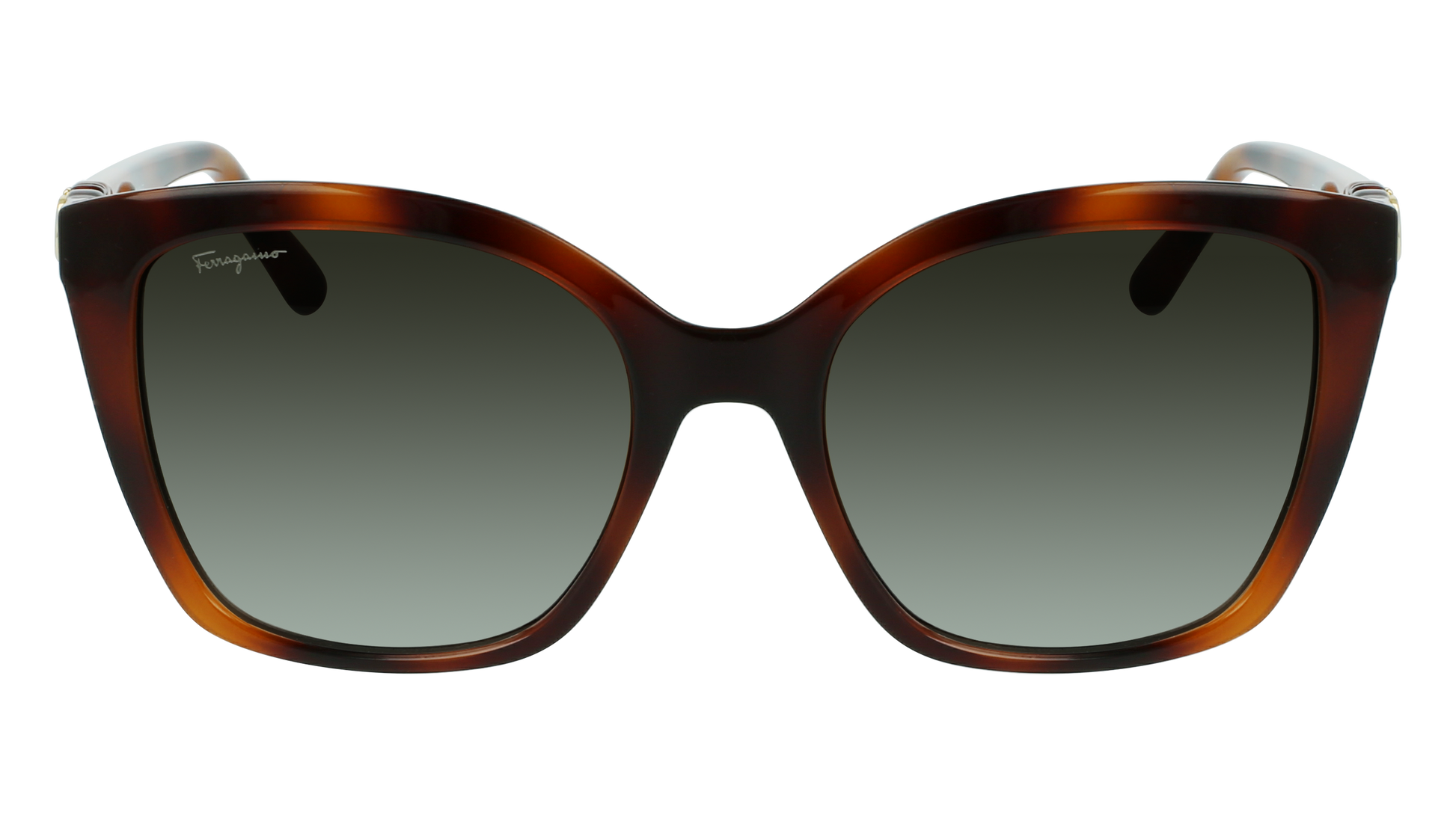 FERRAGAMO Sunglasses SF1026S 214 54
