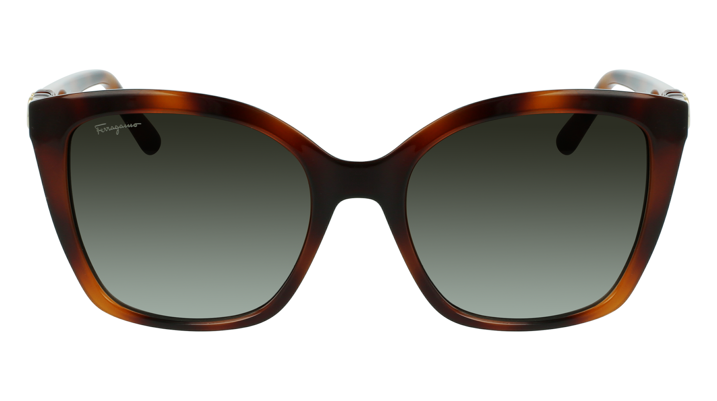 FERRAGAMO Sunglasses SF1026S 214 54