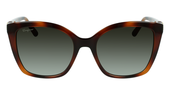 FERRAGAMO Sunglasses SF1026S 214 54