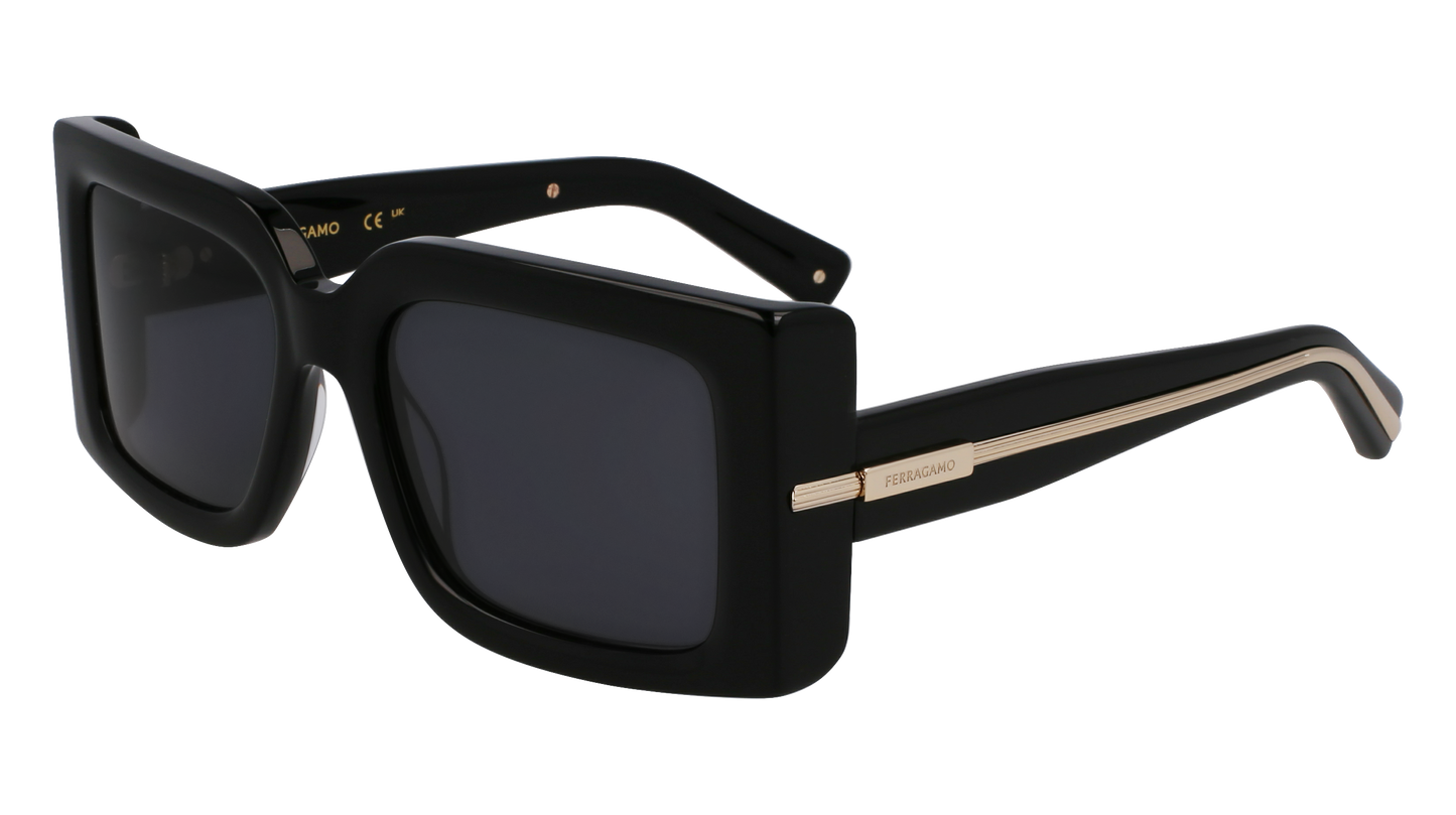 FERRAGAMO Sunglasses SF2032S 1 55