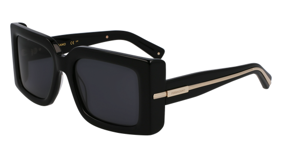 FERRAGAMO Sunglasses SF2032S 1 55