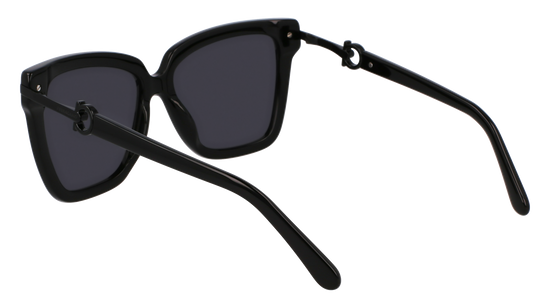 FERRAGAMO Sunglasses SF1085SN 1 57