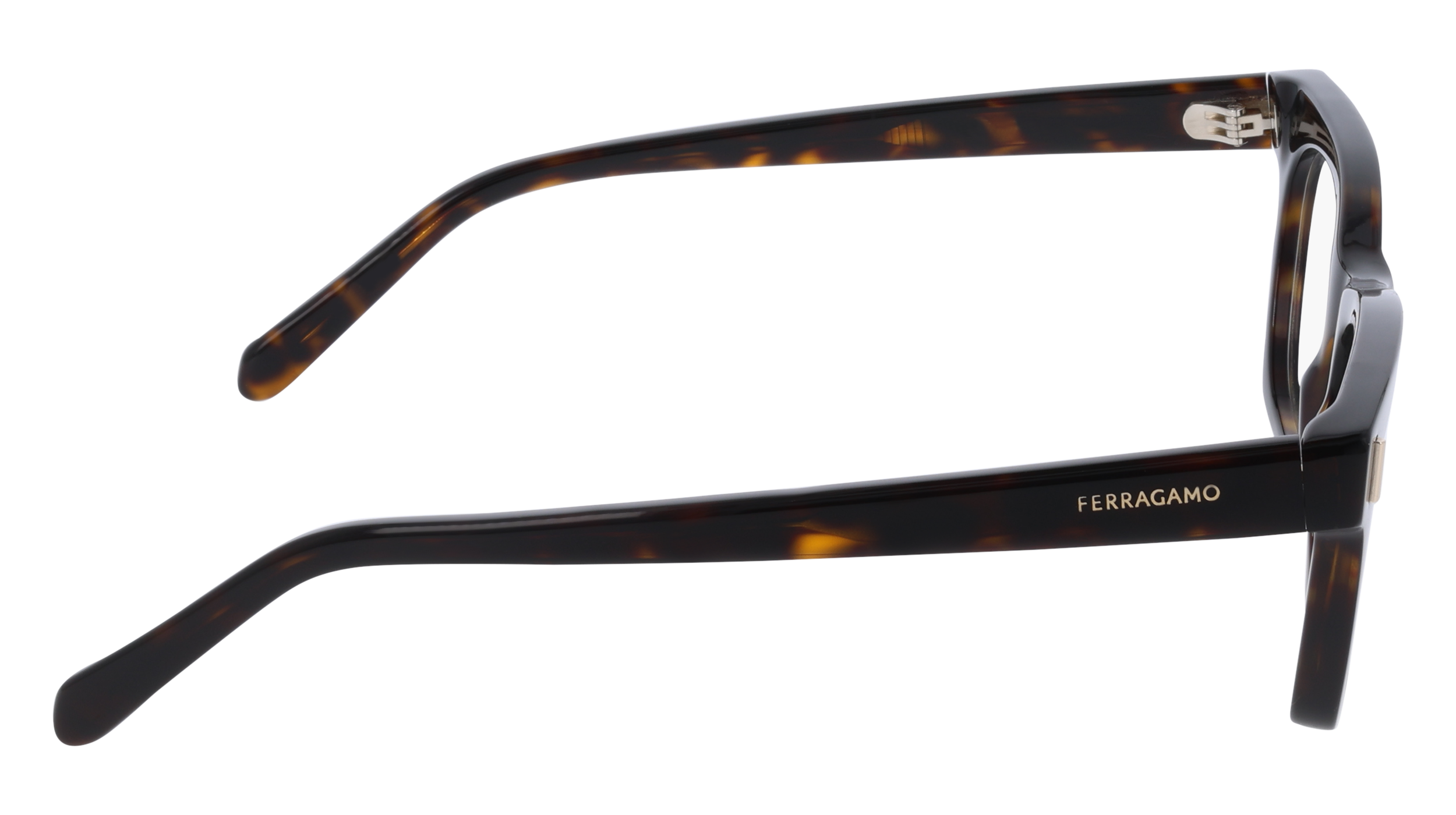 Ferragamo SF3025 242