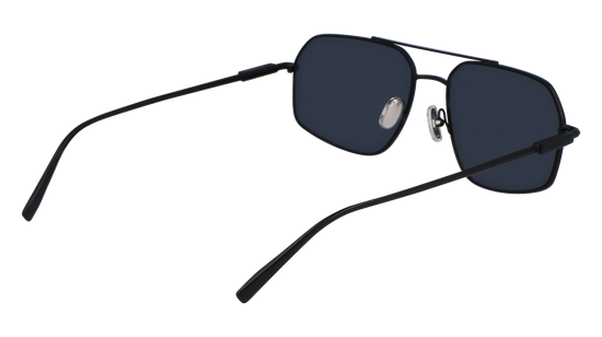 FERRAGAMO Sunglasses SF313S 2 58