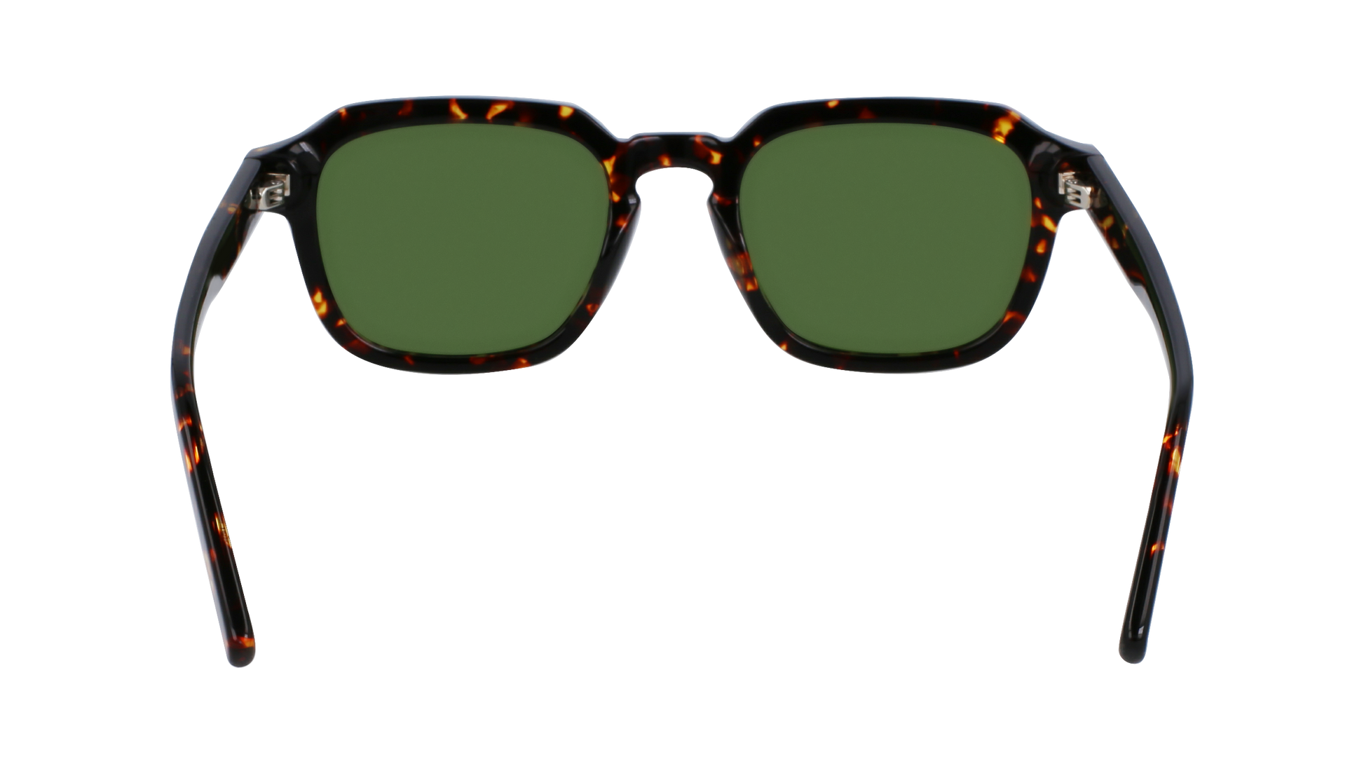 FERRAGAMO Sunglasses SF1089SN 219 52