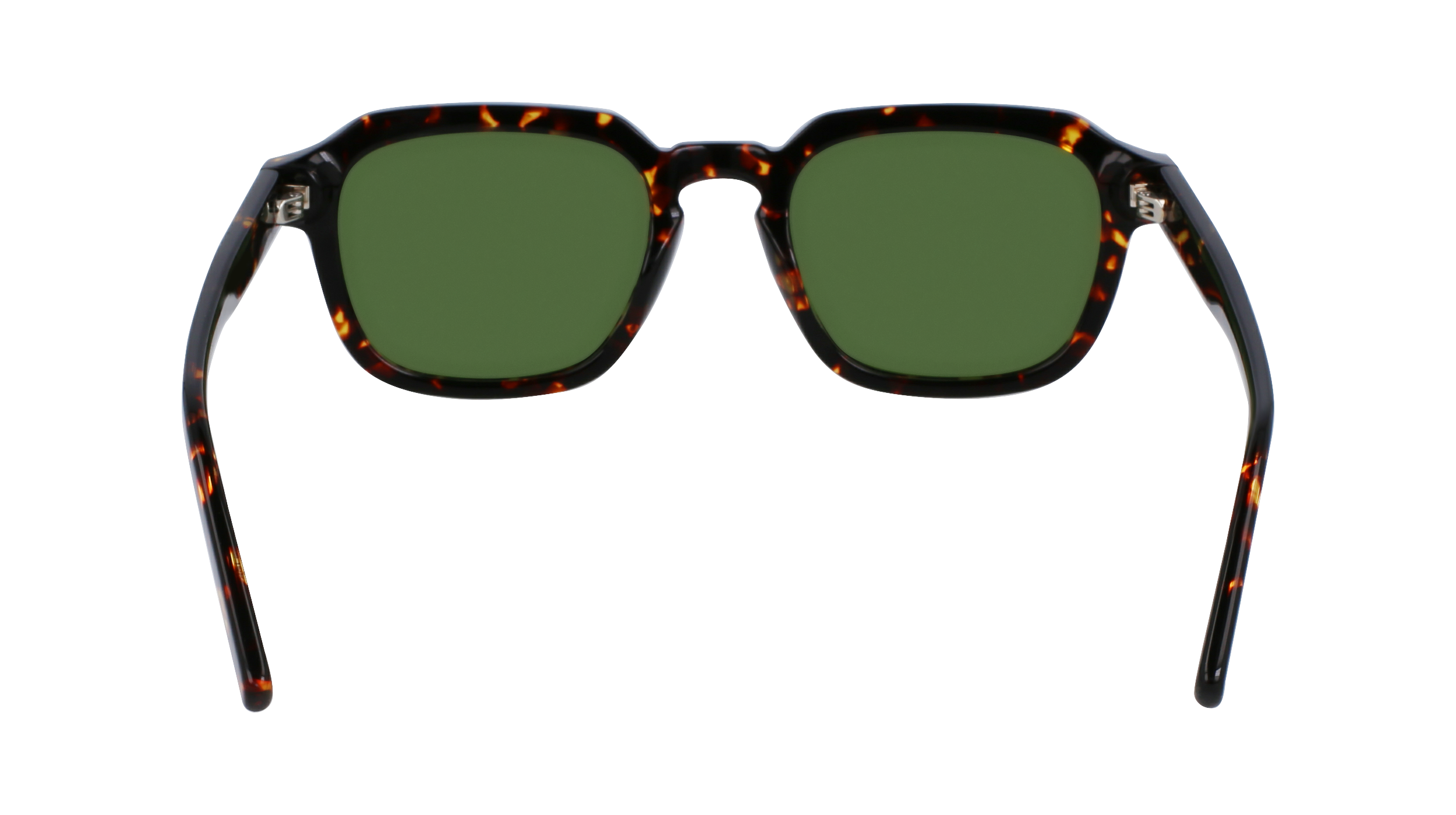 FERRAGAMO Sunglasses SF1089SN 219 52