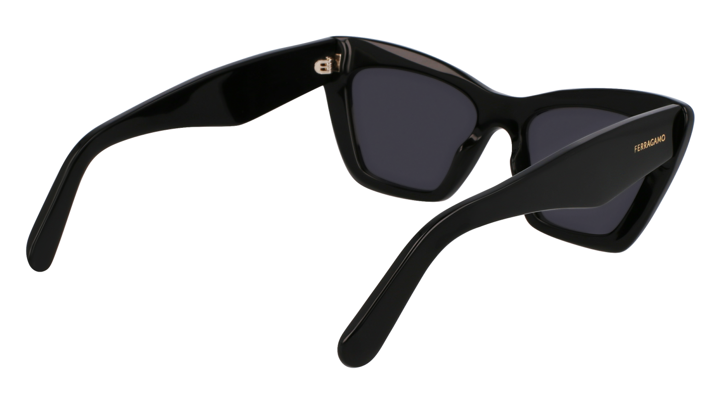 FERRAGAMO Sunglasses SF929SN 1 55