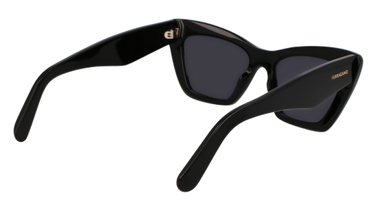 FERRAGAMO Sunglasses SF929SN 1 55