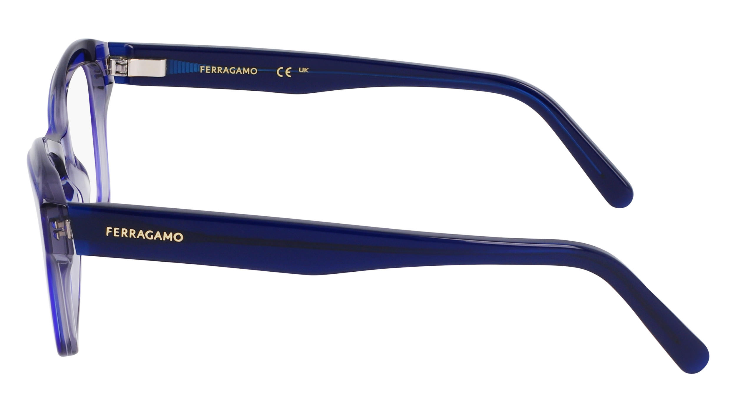 FERRAGAMO Eyeglasses SF2951N 435 53