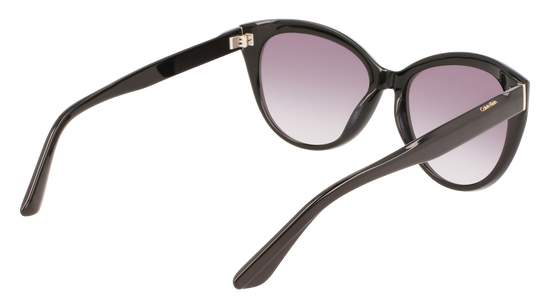 CALVIN KLEIN Sunglasses CK22520S 1 57