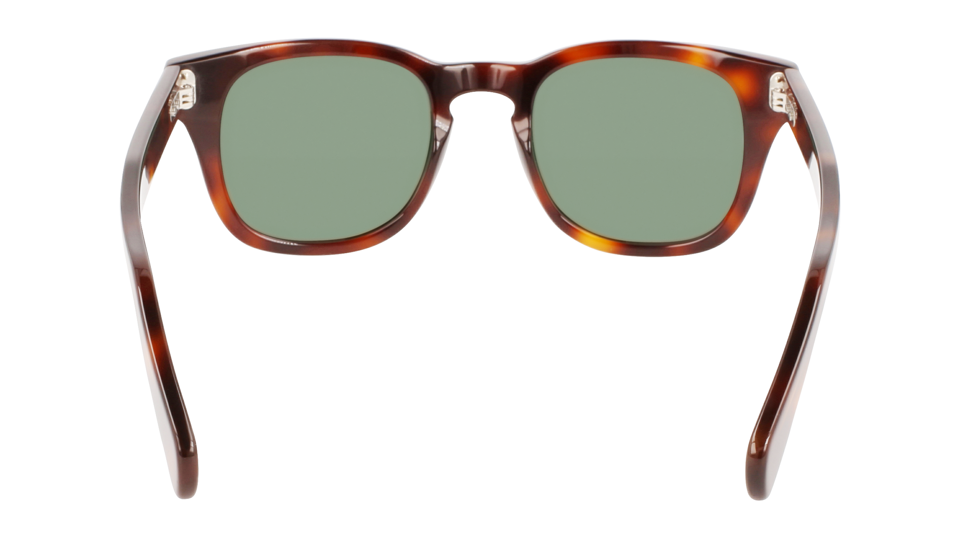 FERRAGAMO Sunglasses SF1057S 240 49