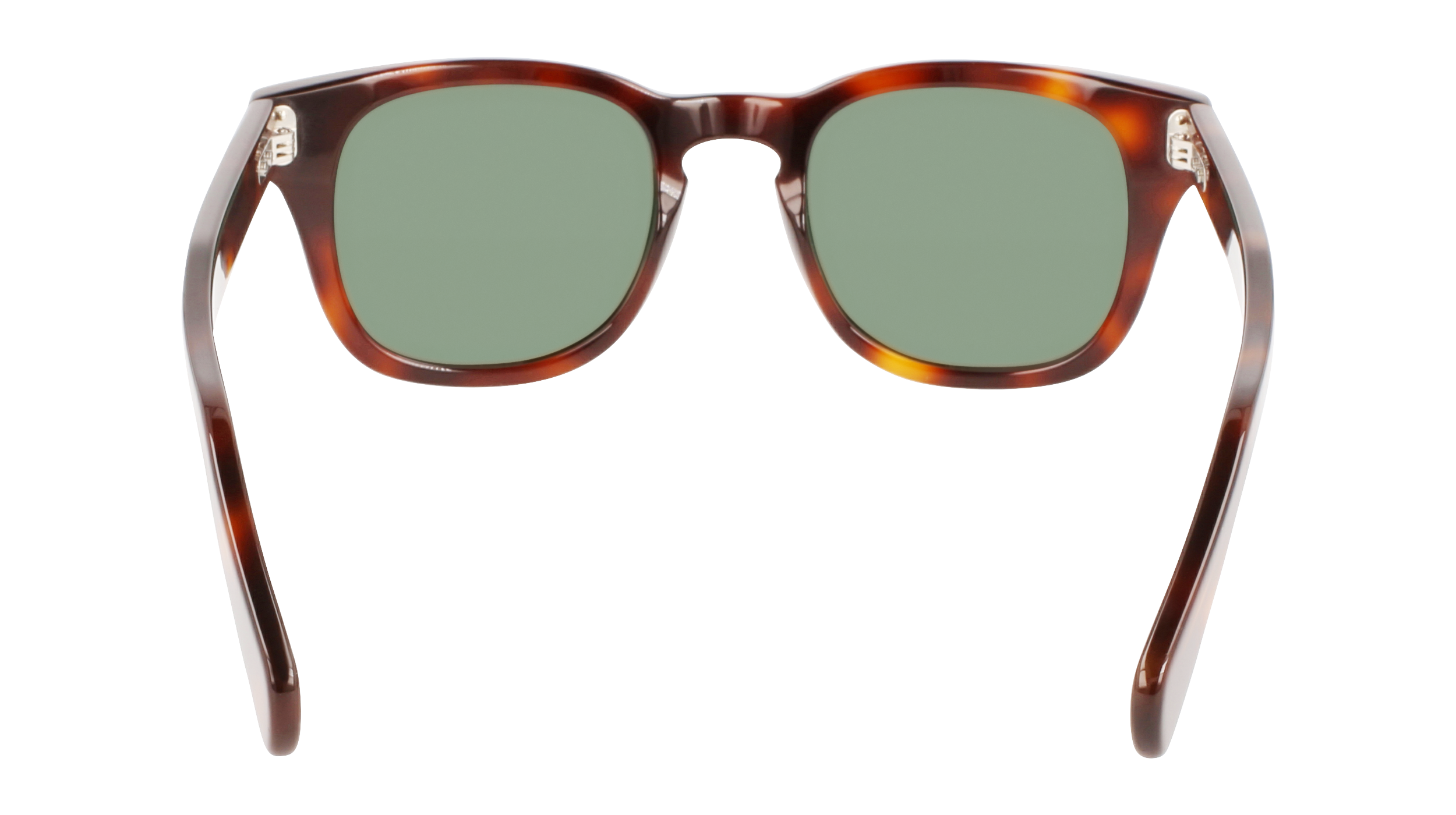 FERRAGAMO Sunglasses SF1057S 240 49